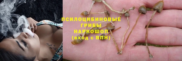 твердый Лабытнанги