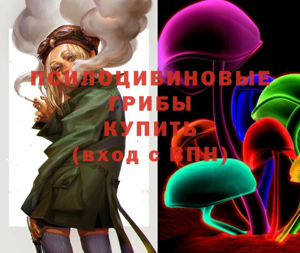 твердый Лабытнанги