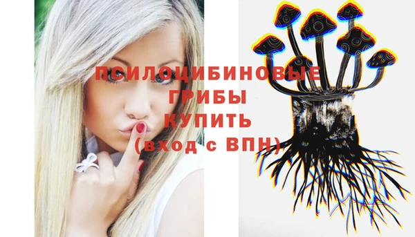 MDMA Лагань