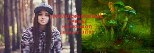 MDMA Лагань