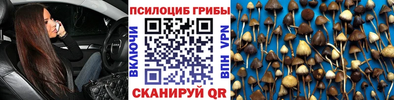 Купить где  Старица  Галлюциногенные грибы прущие грибы 
